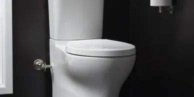 Clogged Toilets Clogged Toilets