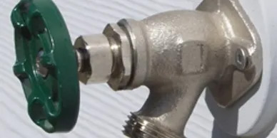 Clogged Toilets Freeze Protection