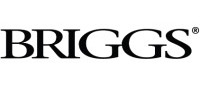 Briggs Briggs